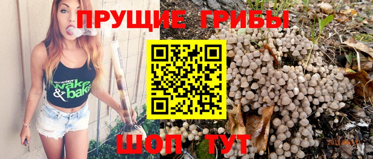 Галлюциногенные грибы GOLDEN TEACHER Кыштым
