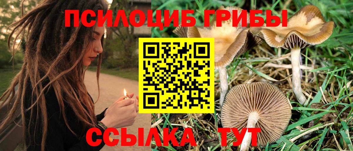 Кыштым  Псилоцибиновые грибы Magic Shrooms  Вход с VPN 